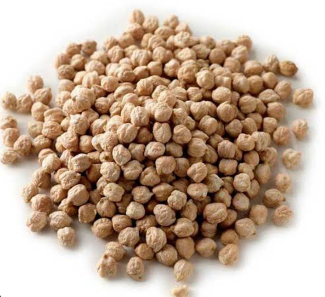 Kabuli Chickpea